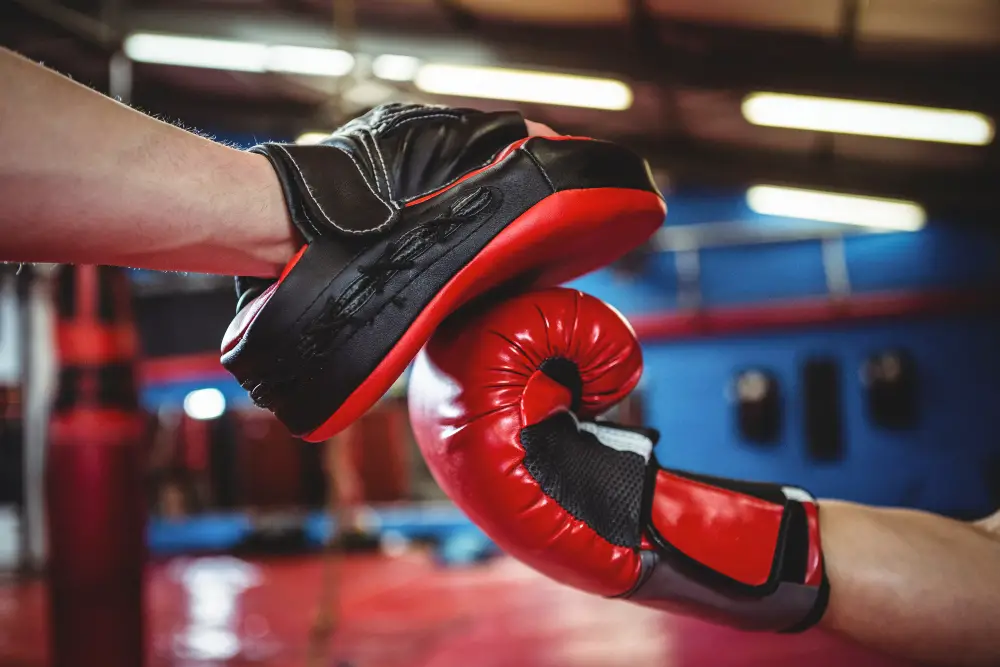 Best Focus Mitts in 2022: For Boxing & Muay Thai