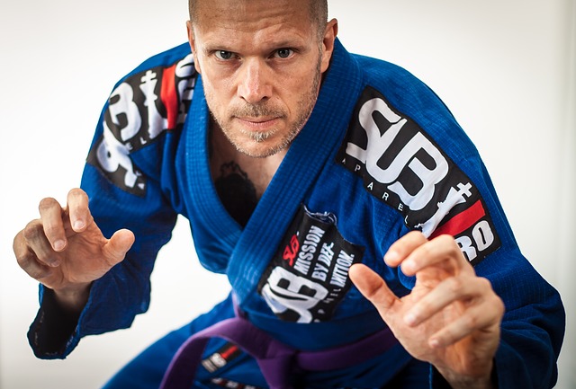 purple belt in color system of karate
