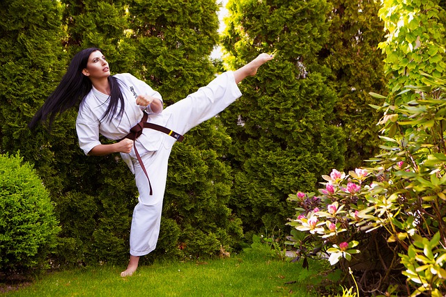 judo martial arts