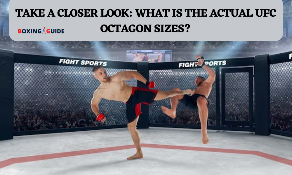 Take a Closer Look: What Is the actual UFC OCTAGON SIZES?