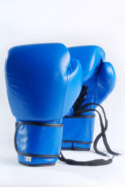 Boxing Gloves for Heavy Bag