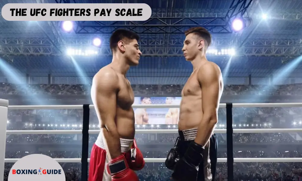 The UFC Fighters Pay Scale