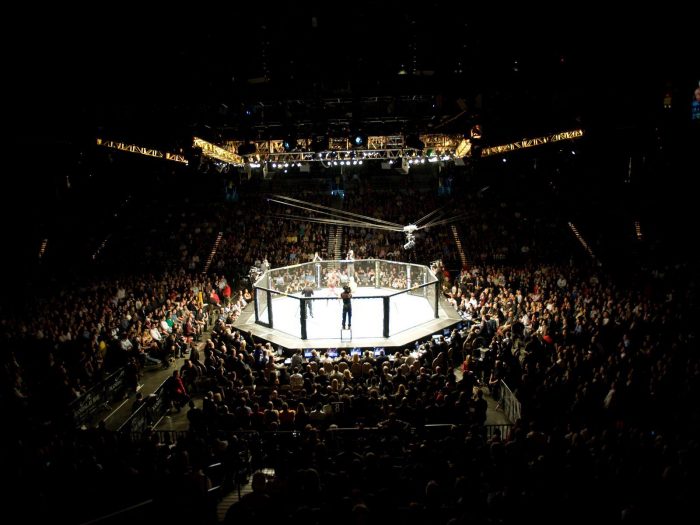 UFC Cage size: how big should be UFC's octagon?