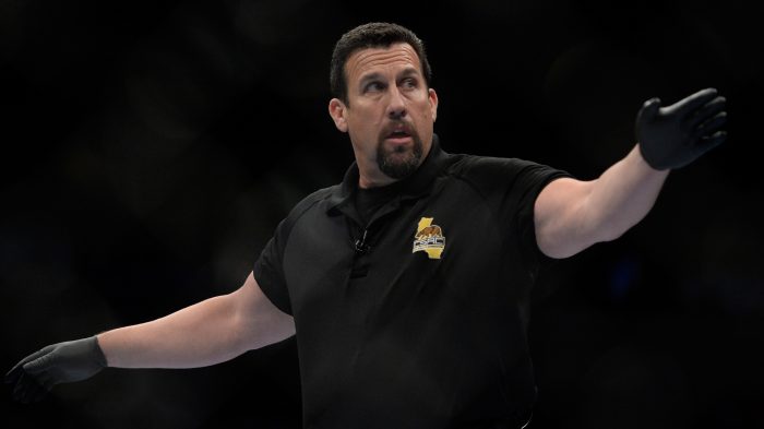 How much do UFC referees make per fight?