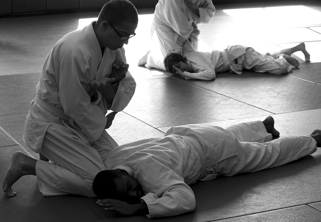 What are the difference between aikido vs hapkido?