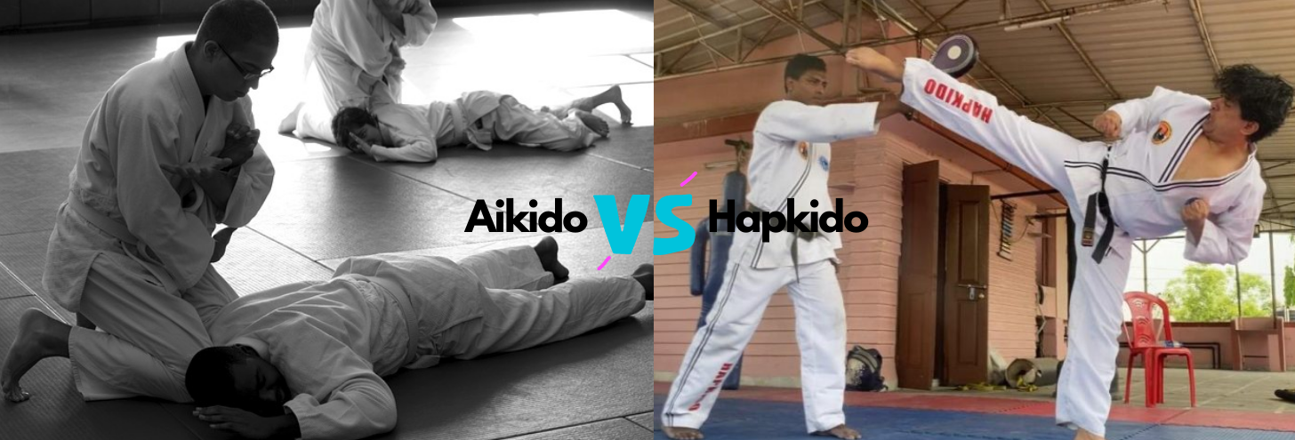 Aikido Vs Hapkido