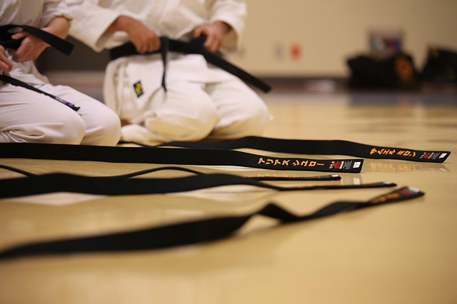 color belt system in karate