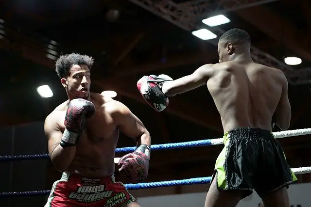  Boxing vs Kickboxing