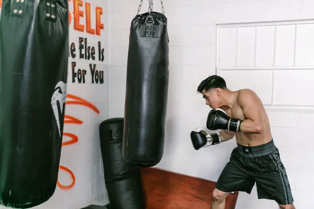 punching bag wall mount