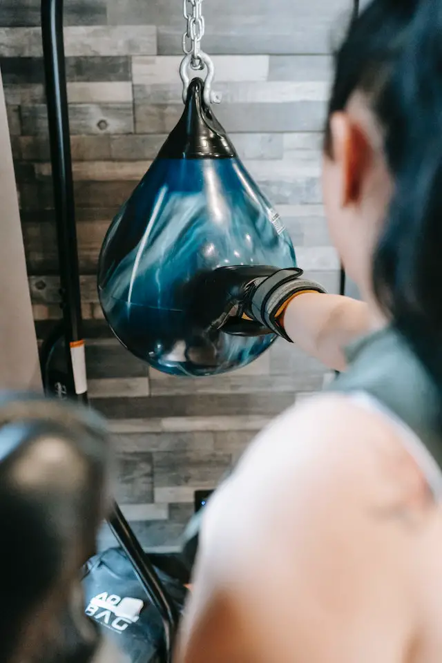 15  21 Aqua Punching Bag  Physical Company