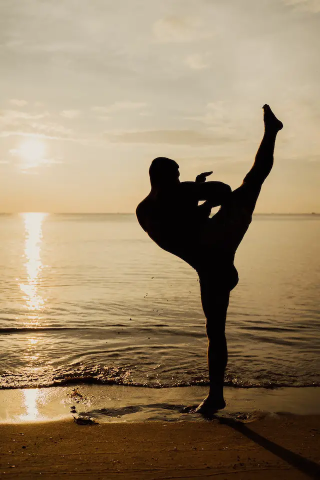 Front Kick: How to kick a punching bag