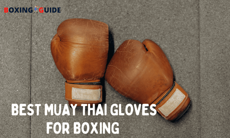 Best Muay Thai Gloves for Boxing & Sparring
